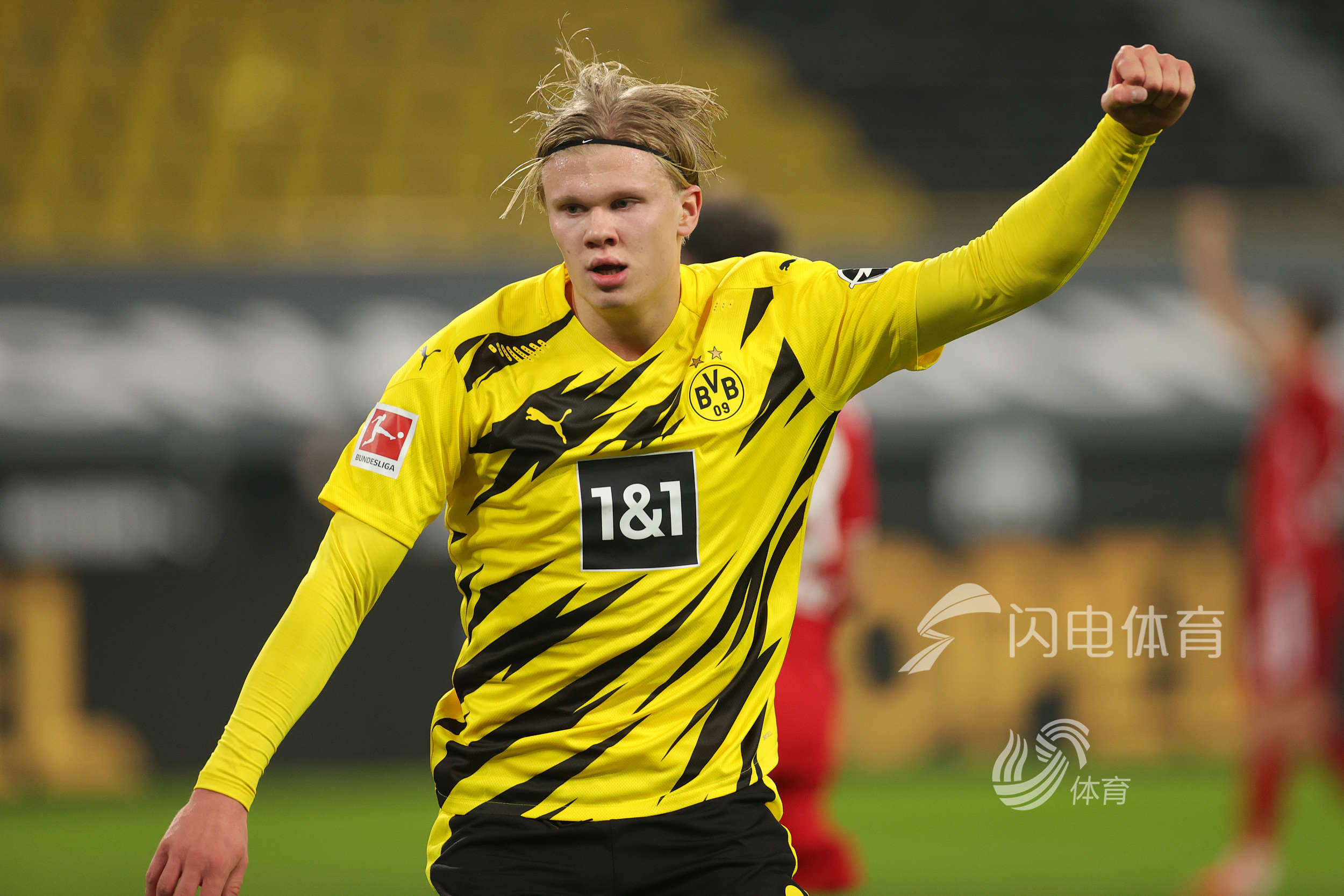 诺贝尔奖预测市场大额下注